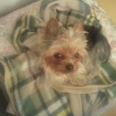 중앙가축약품 이미지