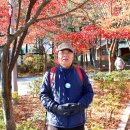 한강수변길 이미지