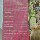 알로하 우쿨렐레 | 하와이 PCC 후기 - Polynesian cultural center