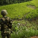 미얀마마을 이미지