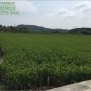 경지 태양광발전소 이미지