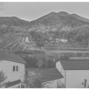 성화태양광발전소 이미지