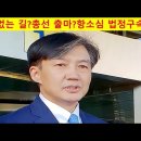 조국 서울대 파면, 총선 출마 당선 가능성 있나? 이미지