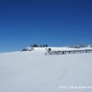 한라산풍경 이미지