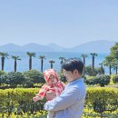 청곡초등학교 건너편 교통섬 | 거제 공곶이 수선화 가는법은 힘들어도 명소인 이유