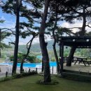 위드오션2 이미지