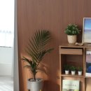 추억무인스튜디오 이미지