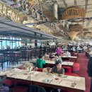 은천동-31서울특별 | [서울 용산] 서울드래곤시티 킹스베케이션 31층 스카이 런치 뷔페.