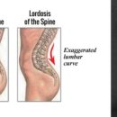 오리궁뎅이 이미지