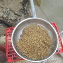 이정골낚시터 이미지