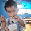 삼남매바지락칼국수 이미지