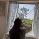 풍천로 | 제주도 성산, 인생샷 잔뜩 찍은 감성 카페 여름정원 다녀온 후기!