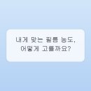 현명한선택 네이버블로그