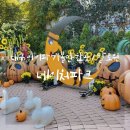 봉봉장파크 | 대구 네이처파크 : 아이랑 가볼만한곳 할로윈, 동물원, 입장료, 할인