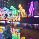 한마음국제여행사 이미지