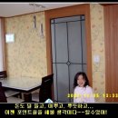 처음처럼 도배 Daum카페