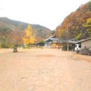 남정면사무소 이미지