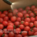 ●KBS 파노라마 ＜친환경 유기농의 진실 2부 : 농약의 유혹＞● 이미지