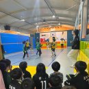 우리동네 하백 태권도 이미지