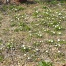 하얀정원 이미지