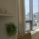 237가이오 | 한남동필라테스 <your PILATES 237> 상담 후 등록 했어요!