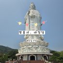 서울반도체(주) 후문 앞 | [베트남/다낭] 바다뷰 해수관음상 '선짜반도 영흥사(린응사)' 및 아쉬웠던 '대성당(핑크성당)' 후기