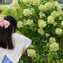 가인당한약방 | 추천하고 싶은 전주숙소 전주한옥마을게스트하우스: 한옥마을숙박 가인당