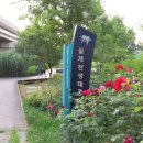 안양천 산책로 이미지