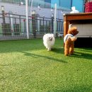 베베네 개스트하우스 이미지