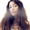 화요비 카카오 검색결과