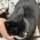 포베스트 이미지