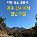 공주-11 | 가을엔 역시 갑사! 11월 둘째주 공주 당일치기 여행 후기