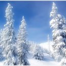 제일PC방 이미지