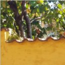 시창작 입문 이미지