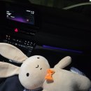 더세인트요양병원 | [출산기록] 세인트마리 여성병원 제왕절개 출산 후기