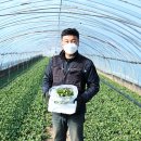 고향자녀농장 이미지