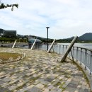 매화공원 광장 이미지