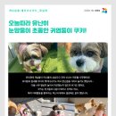 개님살롱 레이크사이드 이미지