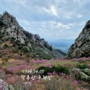 장전리마을회관 | [ 덕룡산 주작산 ] 진달래꽃 보러 가서 제대로 암릉 산행