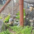 1.21침투로 이미지