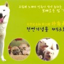 진도특산