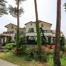 마이앤트세라 이미지