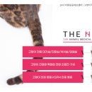 초읍동물병원 이미지