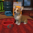 퍼피아일랜드 이미지