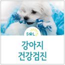 아이사랑동물병원 건강검진센터 이미지