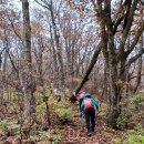 홍천(양양) 이미지