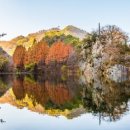 송곡목장 이미지