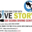 다이브스토리 주식회사 네이버블로그