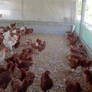 지리산 농장 이미지