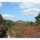 주암산장 이미지